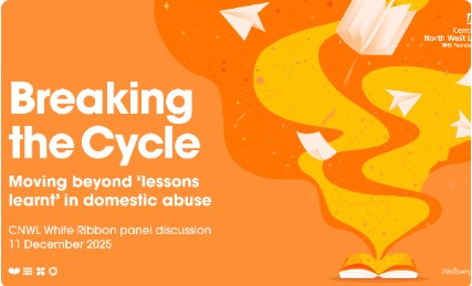 Breaking the cycle: Moving beyond ‘lessons learnt’ in domestic abuse ...