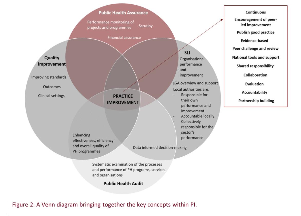 The Venn diagram captures the connotations of each process set out above and how they come together in delivering PI.