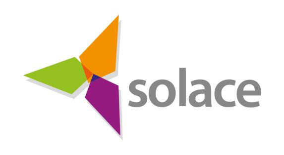 Society for Local Authority Chief Executives (SOLACE)